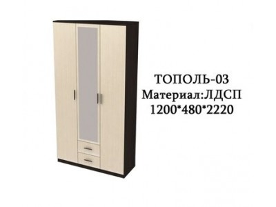 Шкаф распашной Тополь-03
