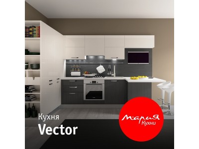 Кухня Vector