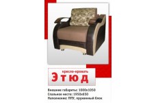 Кресло-кровать Этюд