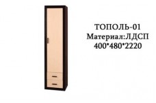 Шкаф распашной Тополь-01